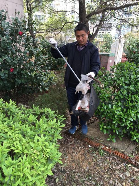 控制鼠害、預(yù)防疾病，構(gòu)建和諧文明社區(qū)